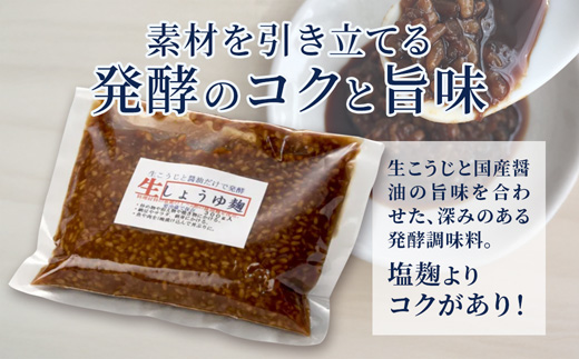 【国産生麹使用】 発酵調味料 4点セット 塩麹・麦塩麹・醤油麹・玉ねぎ塩麹 各200〜250g | 塩麹 麦塩麹 醤油麹 玉ねぎ塩麹 発酵調味料 こうじ 麹 国産 料理下味 漬け込み 炒め物 ギフト 