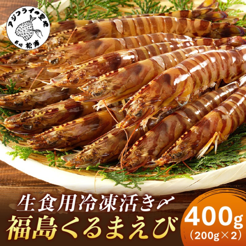 生食用冷凍活き〆福島くるまえび200g×2パック( 車エビ クルマエビ くるまえび えび エビ 海老 生食用 )【B3-066】