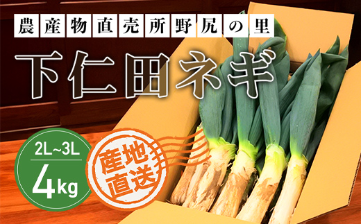 下仁田ネギ２L～３Lサイズ【4㎏】　ANAR001