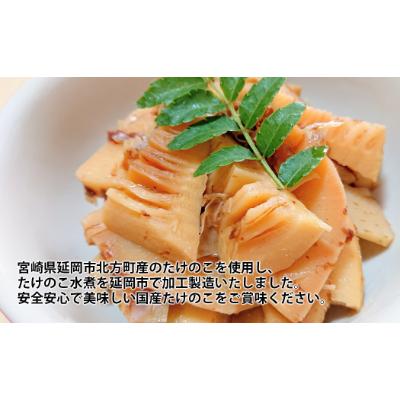 ふるさと納税 延岡市 国産たけのこ水煮　200g×10袋　計2kg |  | 01