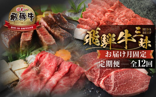 《まるごと定期便》12回 固定月 厳選 お届け 飛騨牛 三昧  肉 牛肉 すき焼き ステーキ 切り落とし 焼肉 バラエティ 定期便 12か月 300000円 30万 [S634]