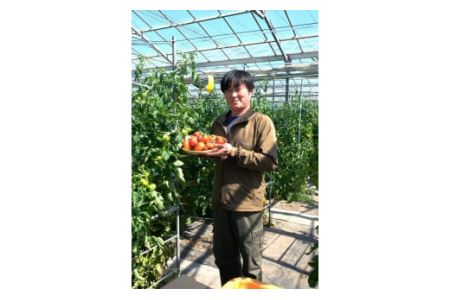 3～4月の期間限定　うまみがぎゅっと凝縮！しぼりトマト 800g ※着日指定不可 《2027年3月上旬-4月末頃出荷予定》