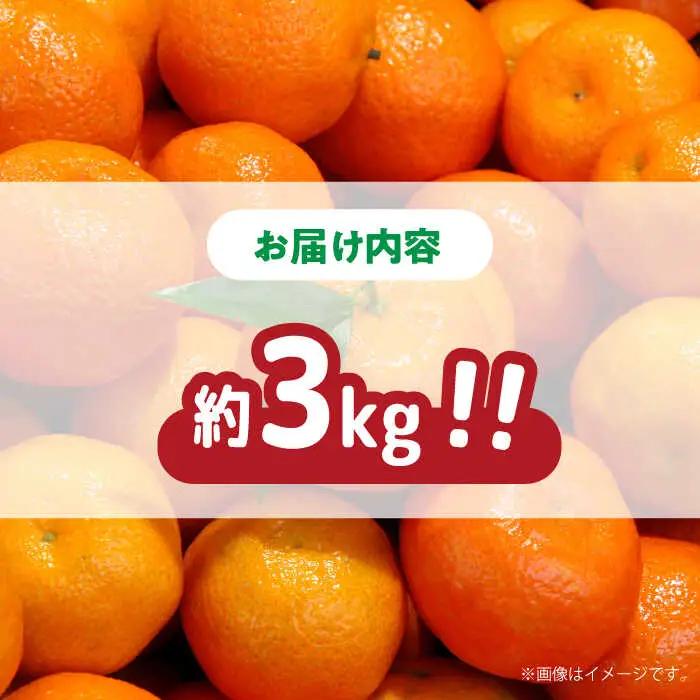 【2026年11月下旬-発送】【高糖度】訳あり 温州みかん 約3kg（傷もの）/ みかん ミカン 蜜柑 果物 フルーツ / 南島原市 / 南島原果物屋[SCV022]