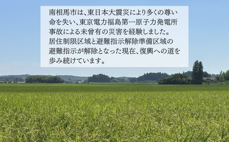 ワイン 3本セット シャルドネ / 甲斐ノワール / マスカット・ベリー×ブラッククイーン
