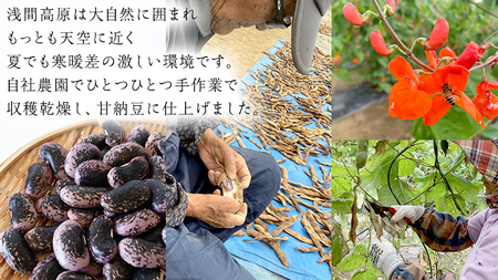 【群馬県優良県産品】浅間高原花豆の甘納豆 花豆 群馬 甘納豆 あやめ亭 群馬 贈答 贈り物 ギフト [AE002tu]