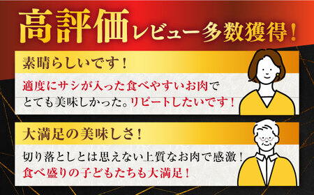 【6回定期便】 佐賀牛 切り落とし 1kg (500g×2P)【桑原畜産】[NAB054] 佐賀牛 牛肉 肉 佐賀 牛肉 黒毛和牛 佐賀牛 牛肉 A4 佐賀牛 牛肉 a4 ブランド牛 ブランド牛肉 佐