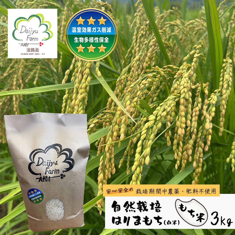 自然栽培もち米　はりまもち（白米）　3kg