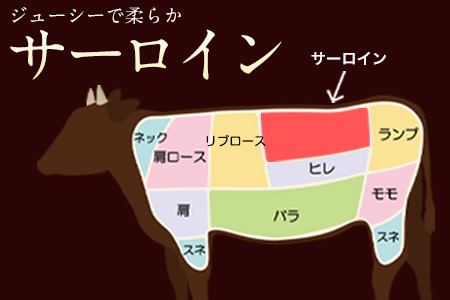 牛肉 あか牛 サーロイン ステーキ 500g ( 250g × 2枚 ) 牛肉 冷凍 《30日以内に出荷予定(土日祝除く)》 冷凍庫 個別 取分け 小分け 個包装 ステーキ肉 あかうし 赤牛 あか牛丼