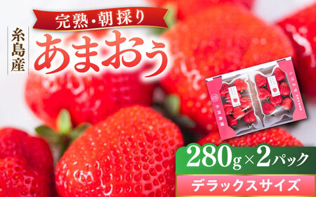 【先行受付】糸島産 完熟あまおう 280g×2パック (デラックスサイズ) 【2027年1月以降順次発送】糸島市 / 小河農園 いちご フルーツ 果物 [AJN001]