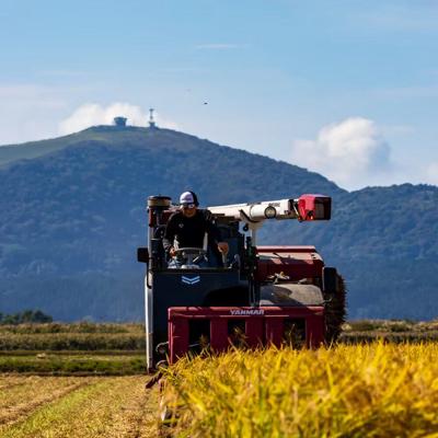 ふるさと納税 男鹿市 【定期便3ヶ月】令和7年産 あきたこまち 精米 10kg(5kg×2袋)|23_kmn-011003 |  | 03