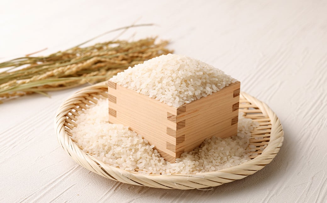 極源流米 計15kg（5kg×3袋） 令和7年度産 夢つくし 元気つくし