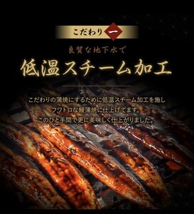 鰻小食パック驚愕の８人前_Cu032