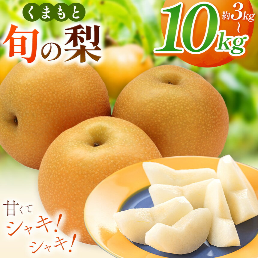 【ふるさと納税】厳選 旬の 梨 選べる 内容量 約 3kg / 5kg / 10kg | フルーツ 豊水 秋月 あきづき 秋麗 甘太 新高 秋 旬 果物 くだもの 玉名 熊本 送料無料