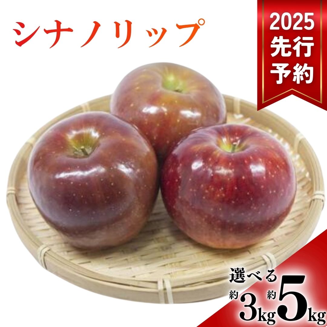 【ふるさと納税】【2025年先行予約】 りんご シナノリップ 選べる 3kg / 5kg 林檎 蜜 信州 千曲市 長野県産