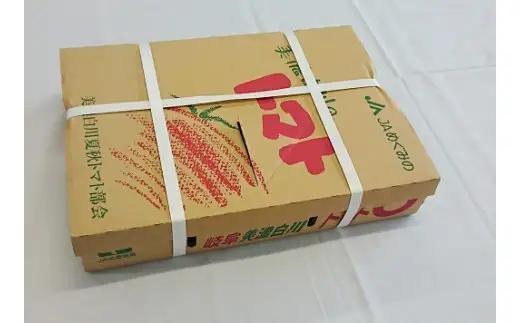 7月下旬発送！ 桃太郎トマト 4kg A等級 桃太郎 トマト 美濃白川 夏秋トマト とまと 夏野菜