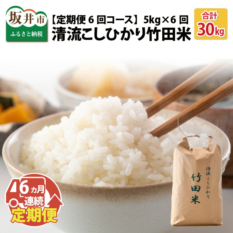 【ふるさと納税】【先行予約】【令和7年産・新米】 【6ヶ月連続お届け】定期便 清流こしひかり 竹田米 5kg × 6回 計30kg 【精米方法をお選びいただけます：白米 / 玄米】 【2025年9月下旬以降順次発送予定】【米 お米 こめ 精米 ブランド米 ふるさと納税米 産地直送】
