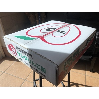 りんごと言えば、本場青森県産サンふじ、家庭用　5kg　14個前後入り　【1376645】