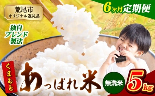 【6ヶ月定期便】熊本県産 くまもとあっぱれ米 ブレンド米 5kg 熊本県産 ふるさと納税 無洗米 精米 米 こめ ふるさとのうぜい コメ お米 おこめ《お申込み月の翌月から発送予定》