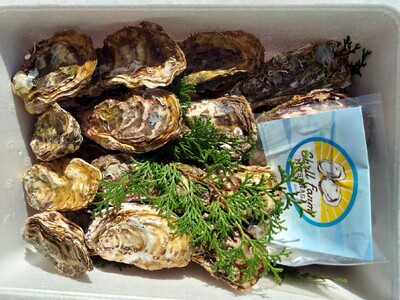 冷蔵かき 28個 かき 空コース 牡蠣