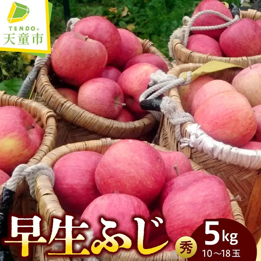 りんご 早生ふじ 約 5kg フルーツ 果物 山形 りんご