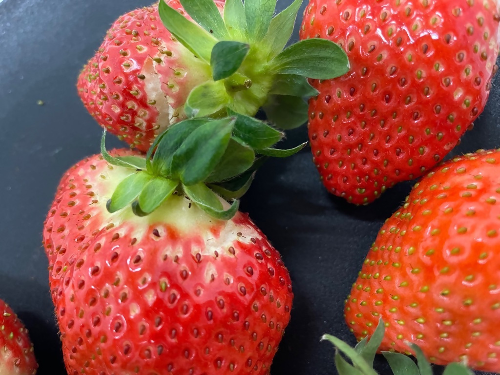 （大粒）農林水産大臣賞受賞農園からお届けする　訳アリ　かおり野　1kg（250ｇ×4Ｐ）/いちご　ISH-01