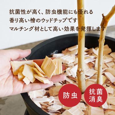 ふるさと納税 南木曽町 長野県木曽産　木曽ひのき　ウッドチップ　20L |  | 01