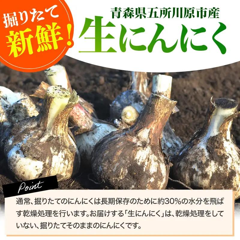 にんにく　生にんにく1kgＭＬサイズ混合土つき2026年6月下旬～発送