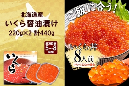 3318. いくら醤油漬け 220g×2個 いくら醤油 イクラ しょうゆ漬け いくら イクラ 醤油 海鮮 魚介 いくら丼 鮭 魚卵 贈答 ギフト 送料無料 北海道 弟子屈町