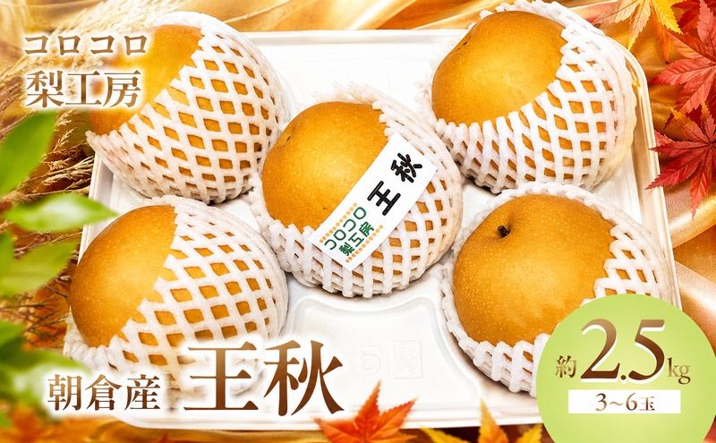 梨 王秋梨 まるで食べる梨ジュース！！約2.5kg 3～6玉入