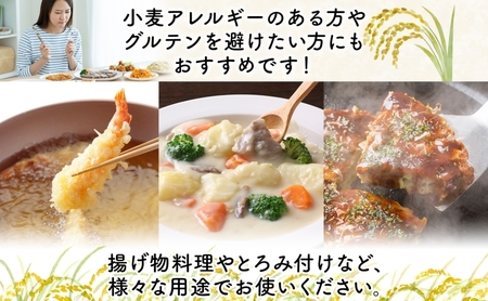 米粉 ななつぼし グルテンフリー 北海道産 米粉【500g×2】
