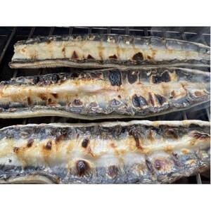 【国産うなぎ】大サイズ140g -170g　三河一色産　6尾セット　炭火蒲焼き(タレ付き)【配送不可地域：離島】【1659383】