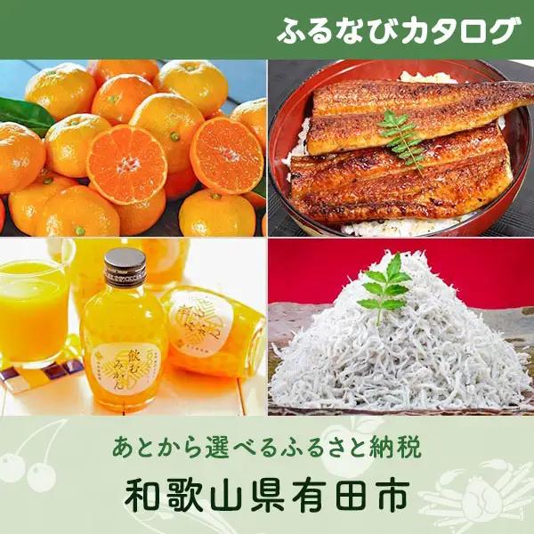 【有効期限なし！後からゆっくり特産品を選べる】和歌山県有田市カタログポイント