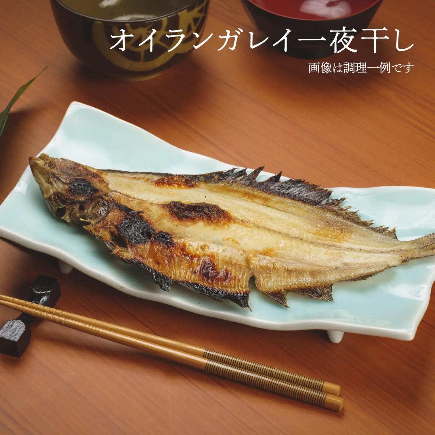 厳選 干物 セット イカ 鯖 真ホッケ オイランガレイ 一夜干し　