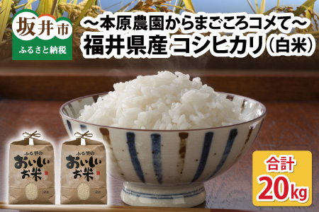【令和7年産・新米】【白米10kg×2袋】福井県産 コシヒカリ20kg ～本原農園からまごころコメて～ [F-8904]
