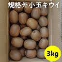 【ふるさと納税】訳あり キウイ 3kg 小玉 愛媛 国産 キウイフルーツ 規格外 数量限定 伊予市 【2024年11月配送】｜B264