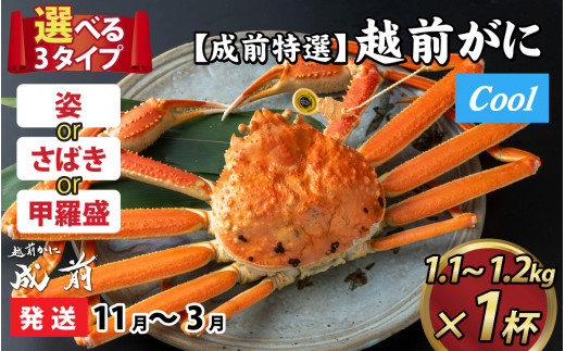 【先行予約】選べる！美味しさ直送【成前特選】越前かに（1.1kg～1.2kg）×１杯【11月～3月発送】捌き  [O-028050_08]