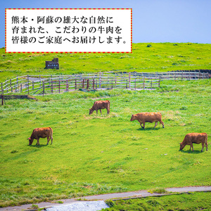 【馬刺しナンバーワン】熊本名物 馬刺し 和牛 赤牛ロース 食べ比べ 合計600g 馬刺し 赤身 100g 和牛ローススライス 500g 熊本肥育 新鮮 阿蘇 熊本 50g小分け 褐毛和種 赤牛 あか牛