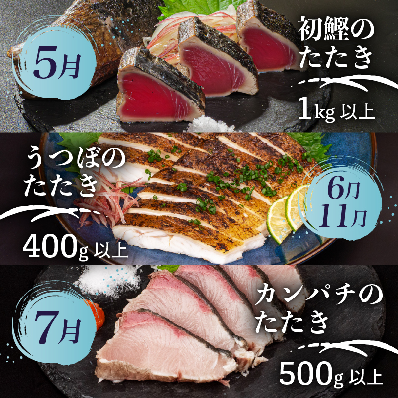 【鮮魚定期便 】 旬 の 刺身 定期便 12回 コース 野島水産 が お届け！ | 漁師町定期便 下処理済み 鮮魚 刺し身定期便 かつお かつおのたたき 藁焼き タタキ 鯛 真鯛 マグロ 牡蠣 しらす