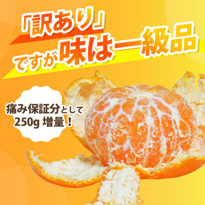 【ふるなびWEEK対象】家庭用 有田 みかん サイズ混合(2S～2L) 5kg+250g ※11月発送(完熟) / 温州みかん 有田みかん 訳あり 甘い 光センサー選果 果物 柑橘 和歌山 ※北海道・