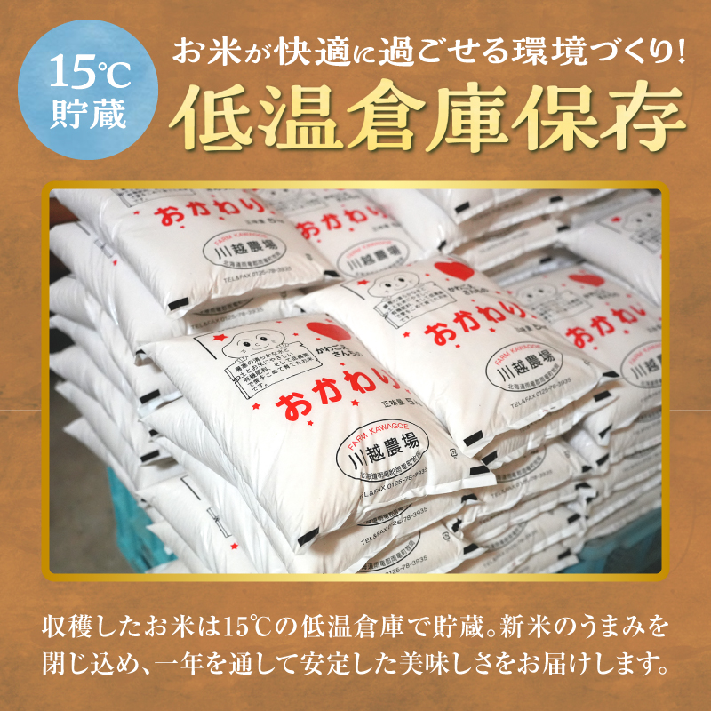 令和7年産 川越さんちの おぼろづき 玄米 10kg (5kg×2袋) 雨竜産 おぼろづき 玄米  10kg お米 おにぎり お弁当 お取り寄せ 北海道 雨竜町