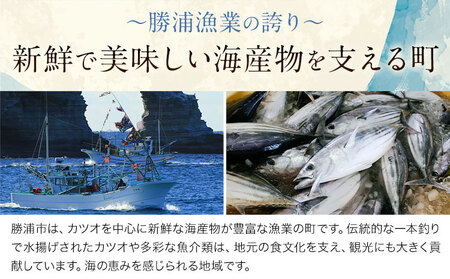 勝浦市産 釣り金目鯛握り寿司 12貫（4貫×3パック）《30日以内に出荷予定(土日祝除く)》千葉県 勝浦市 海産物 鯛 タイ 寿司 すし 魚 海鮮