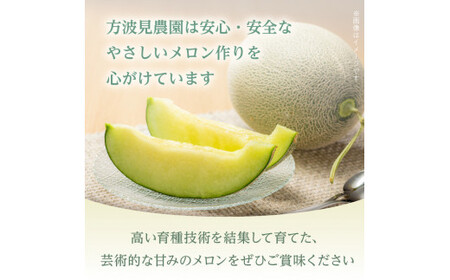 【イバラキングメロン】＼生産量日本一！／茨城県鉾田市産 イバラキング メロン めろん 1.2kg以上×2玉｜方波見農園 《安心安全栽培》上品な甘さ 絶品 産地直送 青肉 高級 おすすめ 人気 BMW農