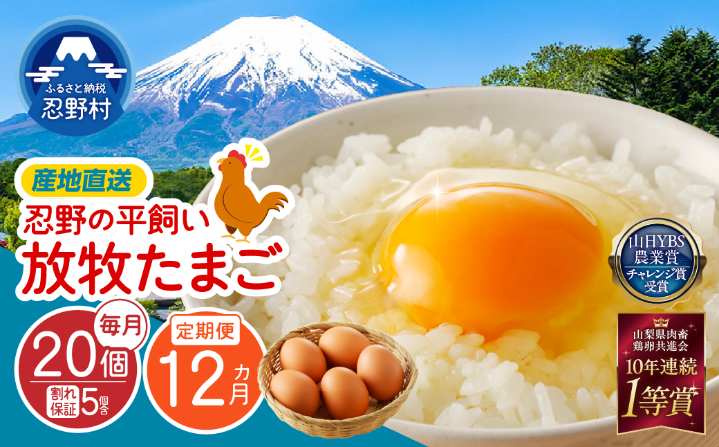 【12ヶ月定期便】忍野の平飼い放牧卵20個（15個＋割れ保証5個）