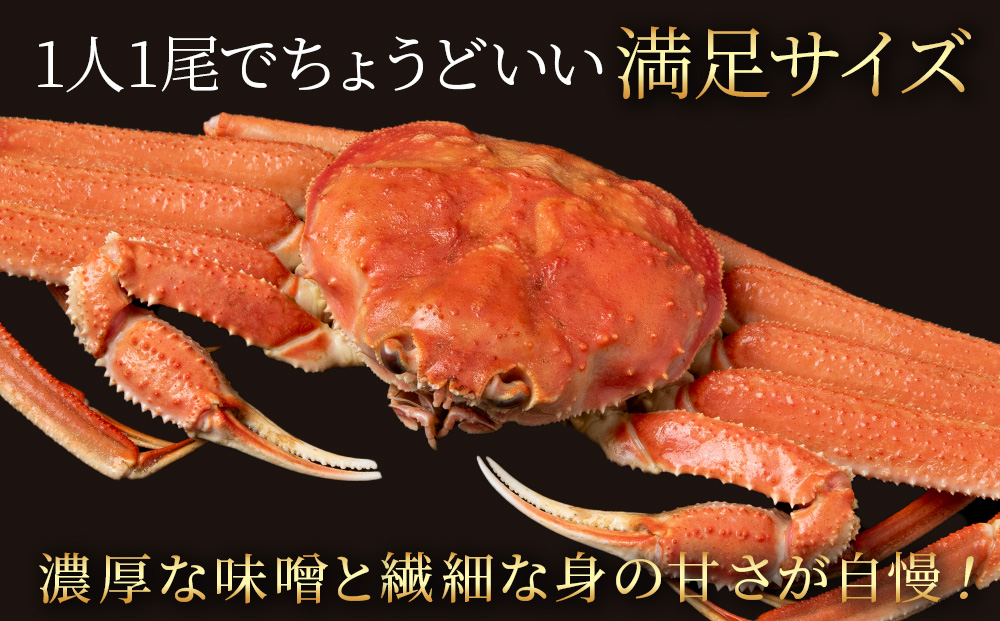 北海道産 大ズワイ 300g～350g ×5尾 ＜小田切水産＞ オオズワイ 蟹 かに カニ ボイル AM116_イメージ2