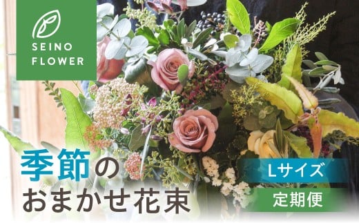季節のお花 Lサイズ 西濃フラワー 定期便  3回 
