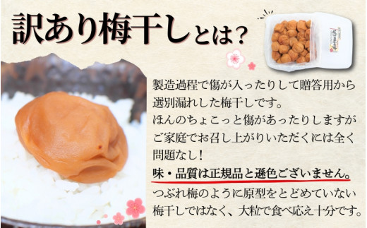 ご家庭用 紀州南高梅 大粒 はちみつ梅干し 1.5? 塩分約8% 無選別 訳あり /梅 梅干 梅干し うめ ウメ ハチミツ すさみ町 