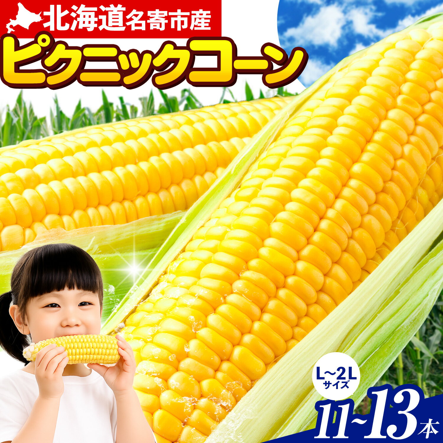 【ふるさと納税】とうもろこし ピクニックコーン 11本 ～ 13本 《2026年8月上旬-9月中旬頃出荷》北海道 名寄市 名寄市産 旬のとうもろこし 夏限定 スイートコーン たっぷり大容量 とうきび 野菜 コーン 北海道産 季節限定 夏野菜 お取り寄せ 楽天スーパーSALE