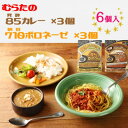 【ふるさと納税】むらた85(発酵)カレー、むらた710(納豆)ボロネーゼ セット(200g×計6個)【1422841】