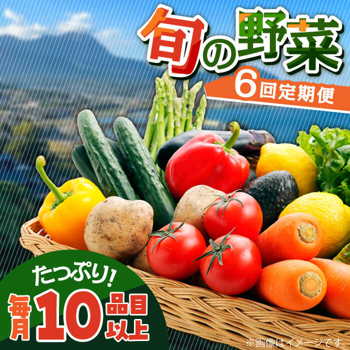 【ふるさと納税】【6回定期便】地元農家さんが収穫した旬のお野菜 10種詰め合わせ / 野菜 旬 新鮮 採れたて 季節野菜 旬野菜 農家直送 野菜定期便 定期便 / 南島原市 / ミナサポ [SCW046]