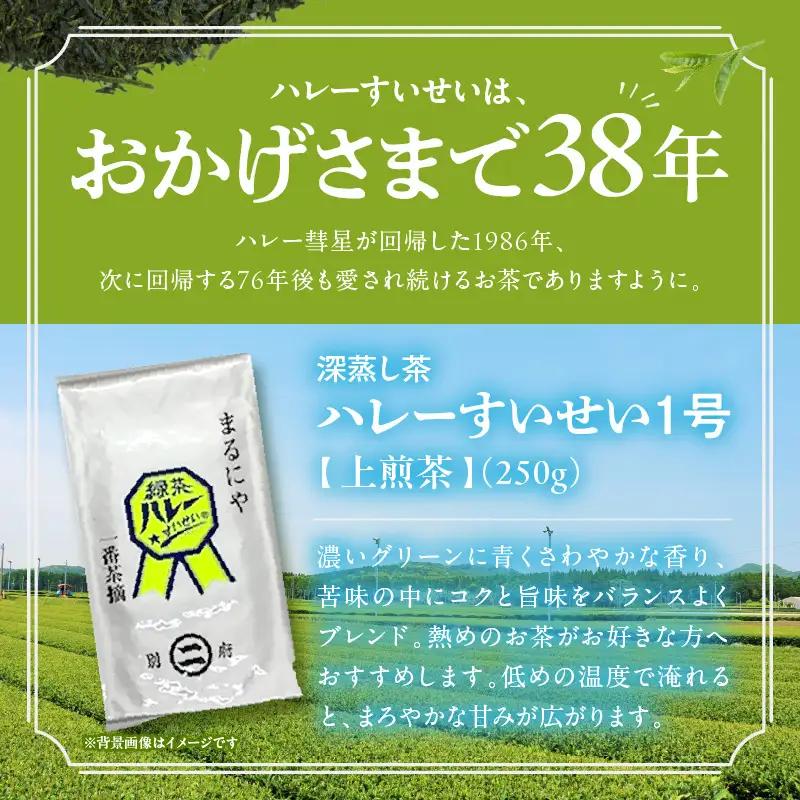 一番茶摘み緑茶ハレーすいせい1号(上煎茶)250g　2本セット_B079-011